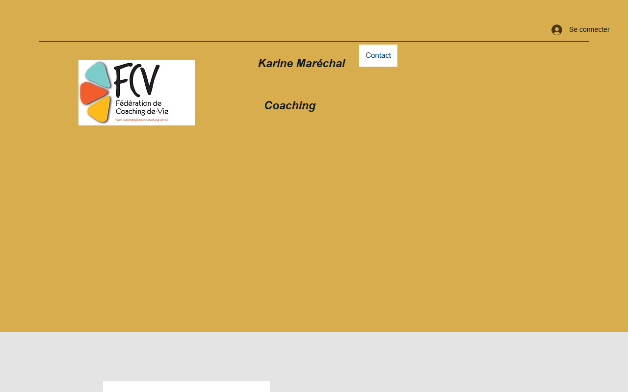 360et1coaching.com screenshot