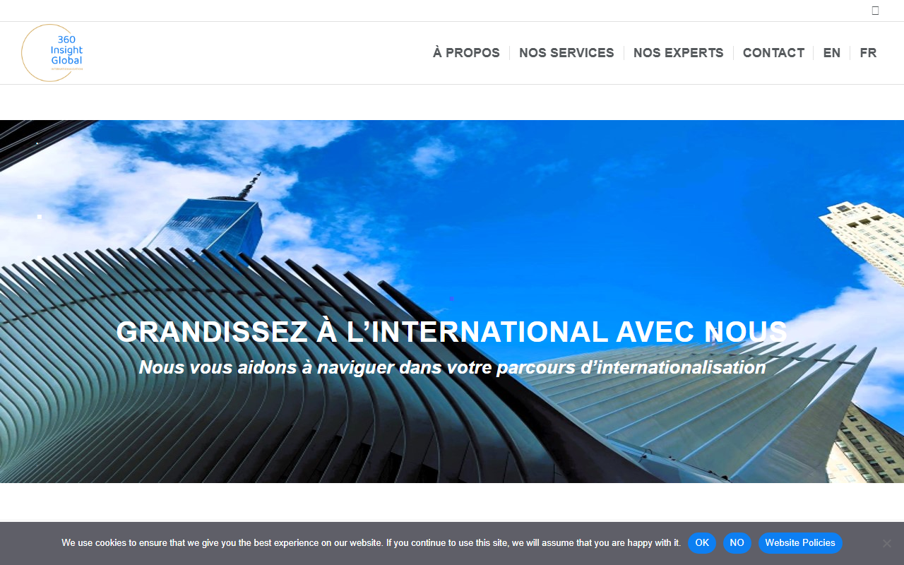 360insightglobal.com screenshot