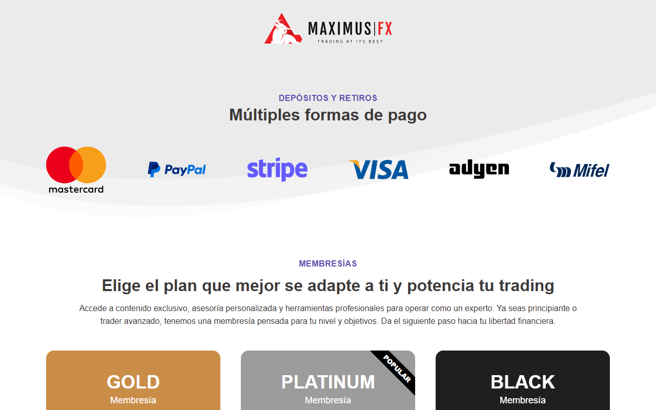 360maximus.com screenshot