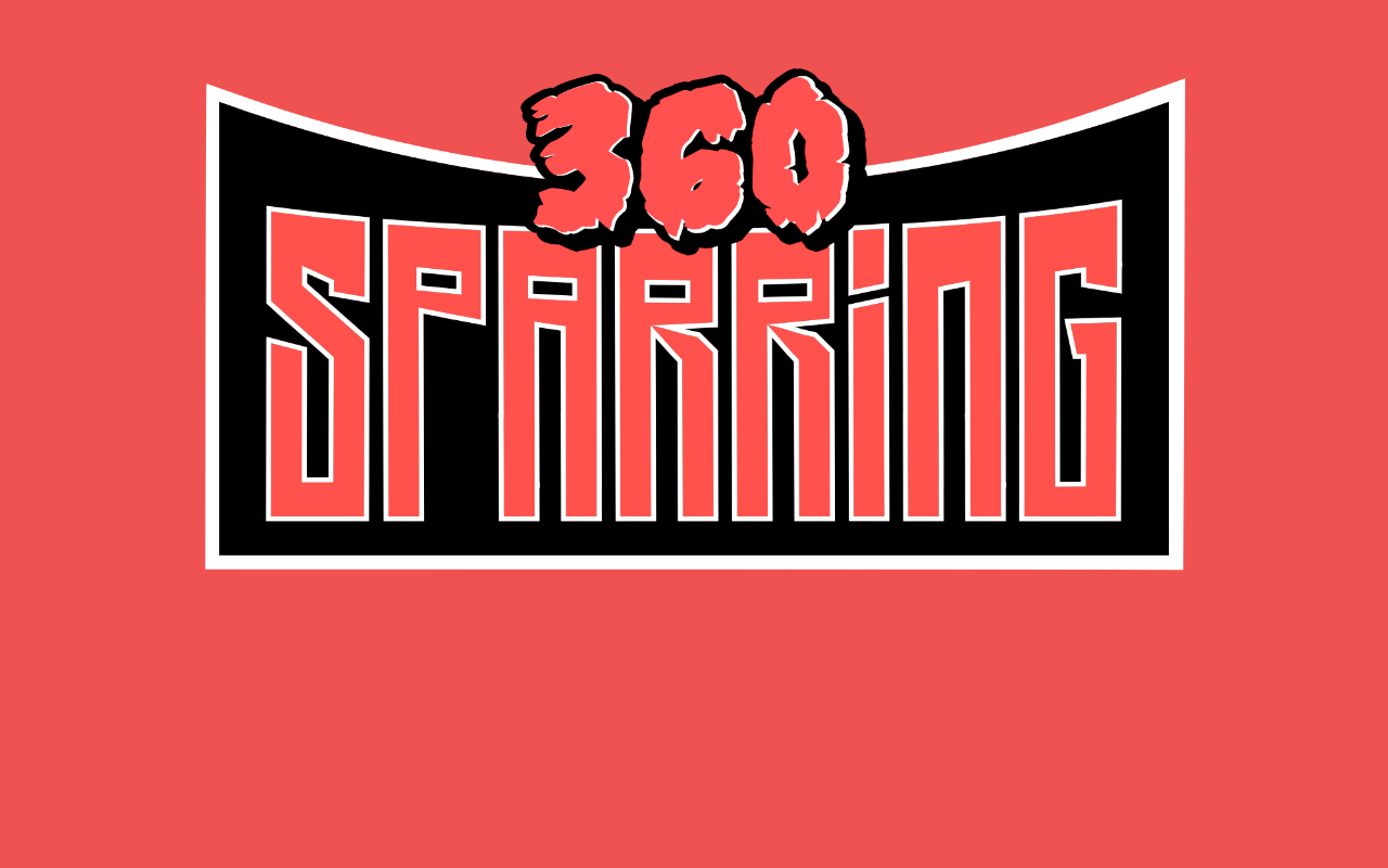 360sparring.com screenshot