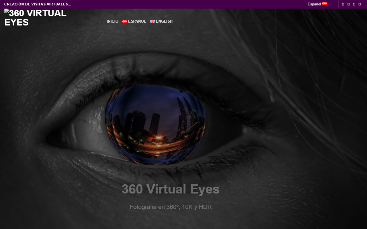 360virtualeyes.com screenshot
