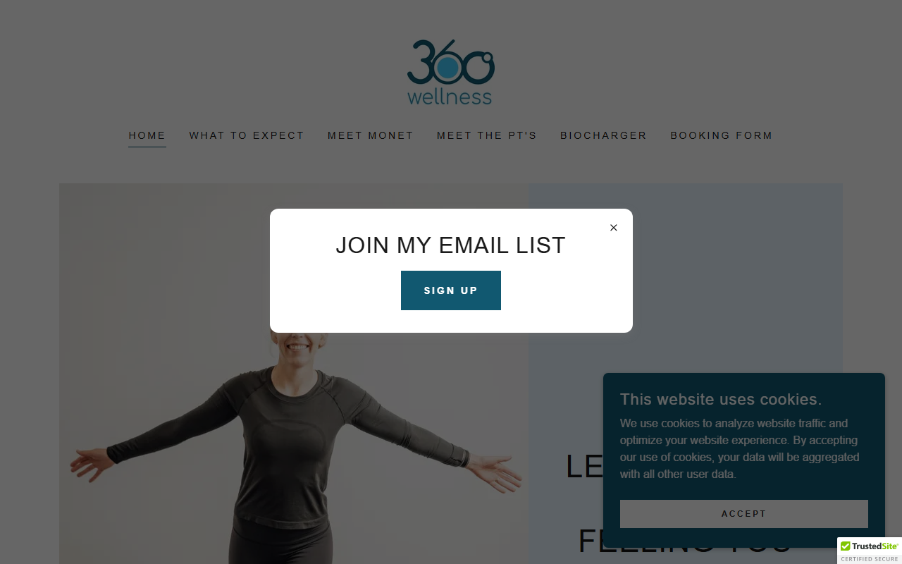 360wellness-pt.com screenshot