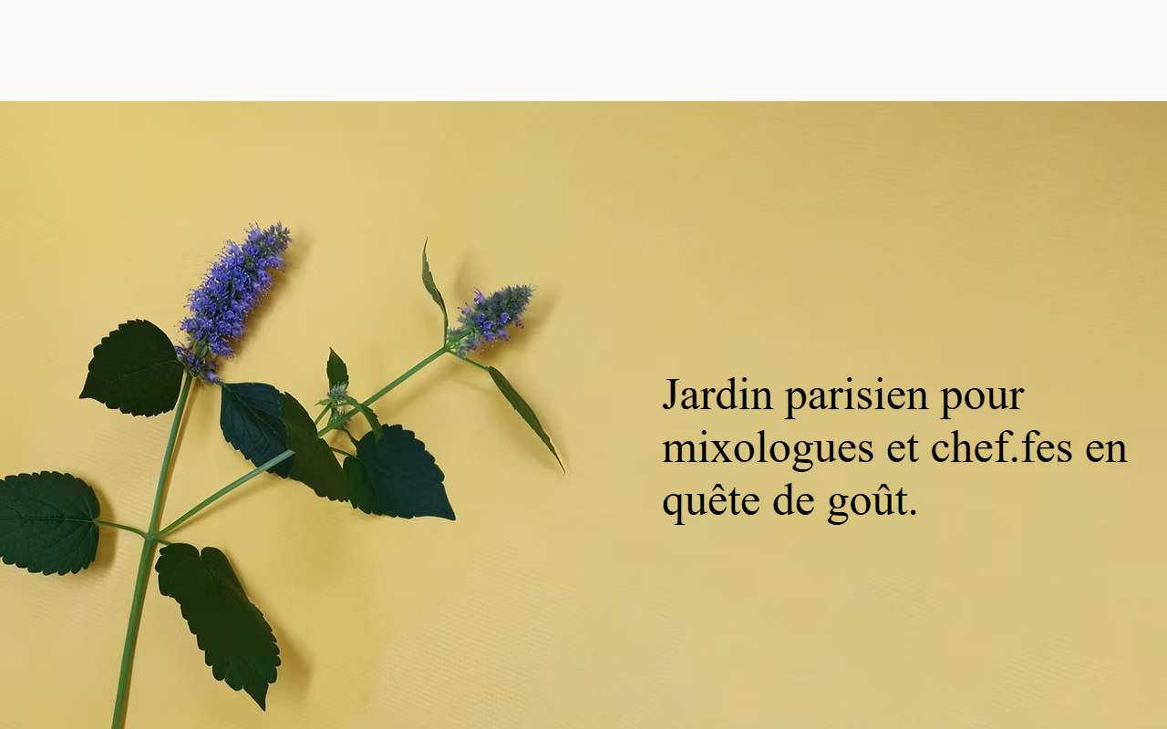 3615superette.com screenshot