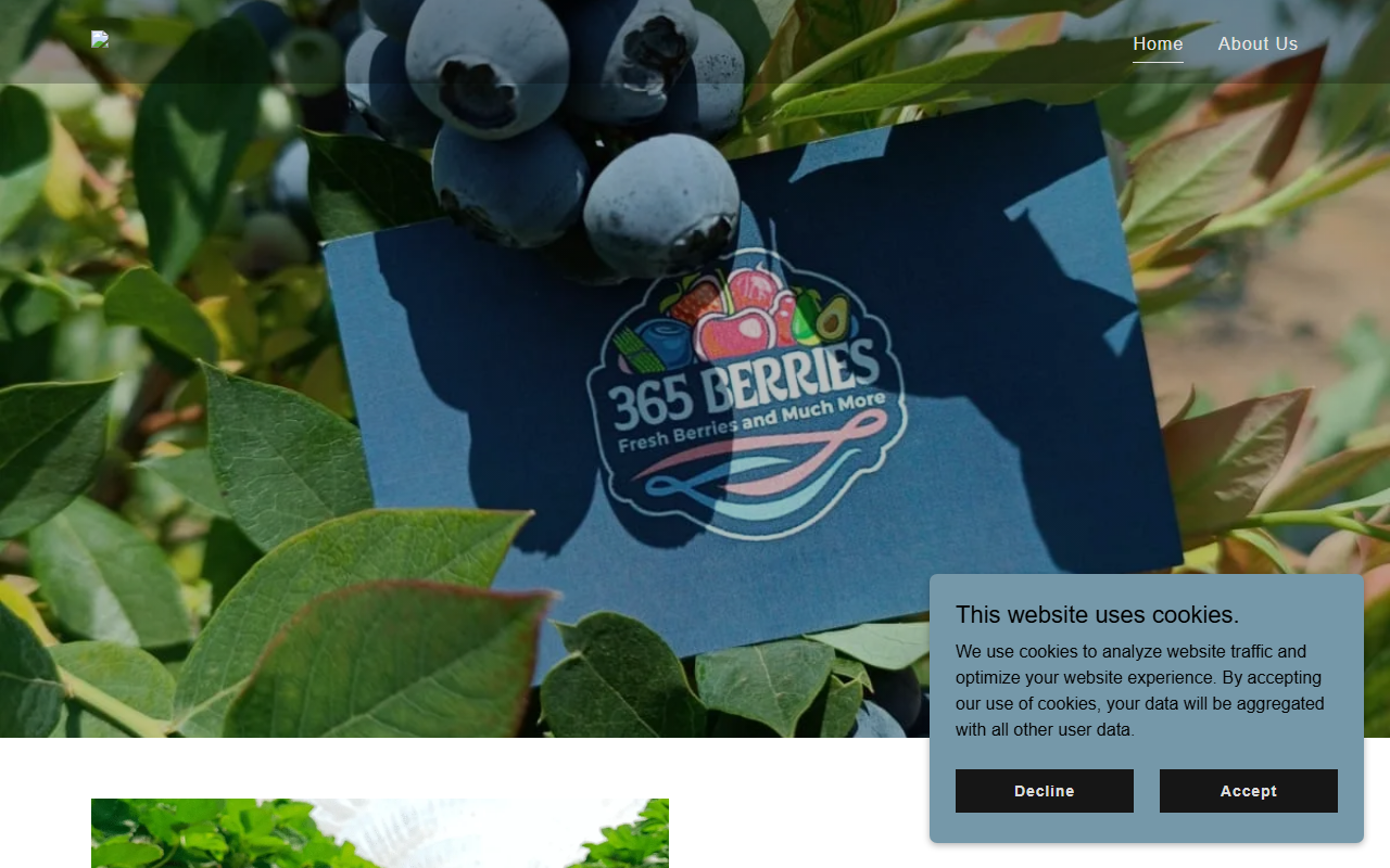 365berries.com screenshot