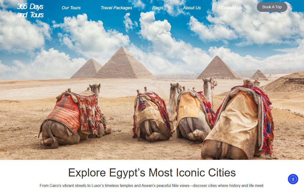 365daysandtours.com screenshot