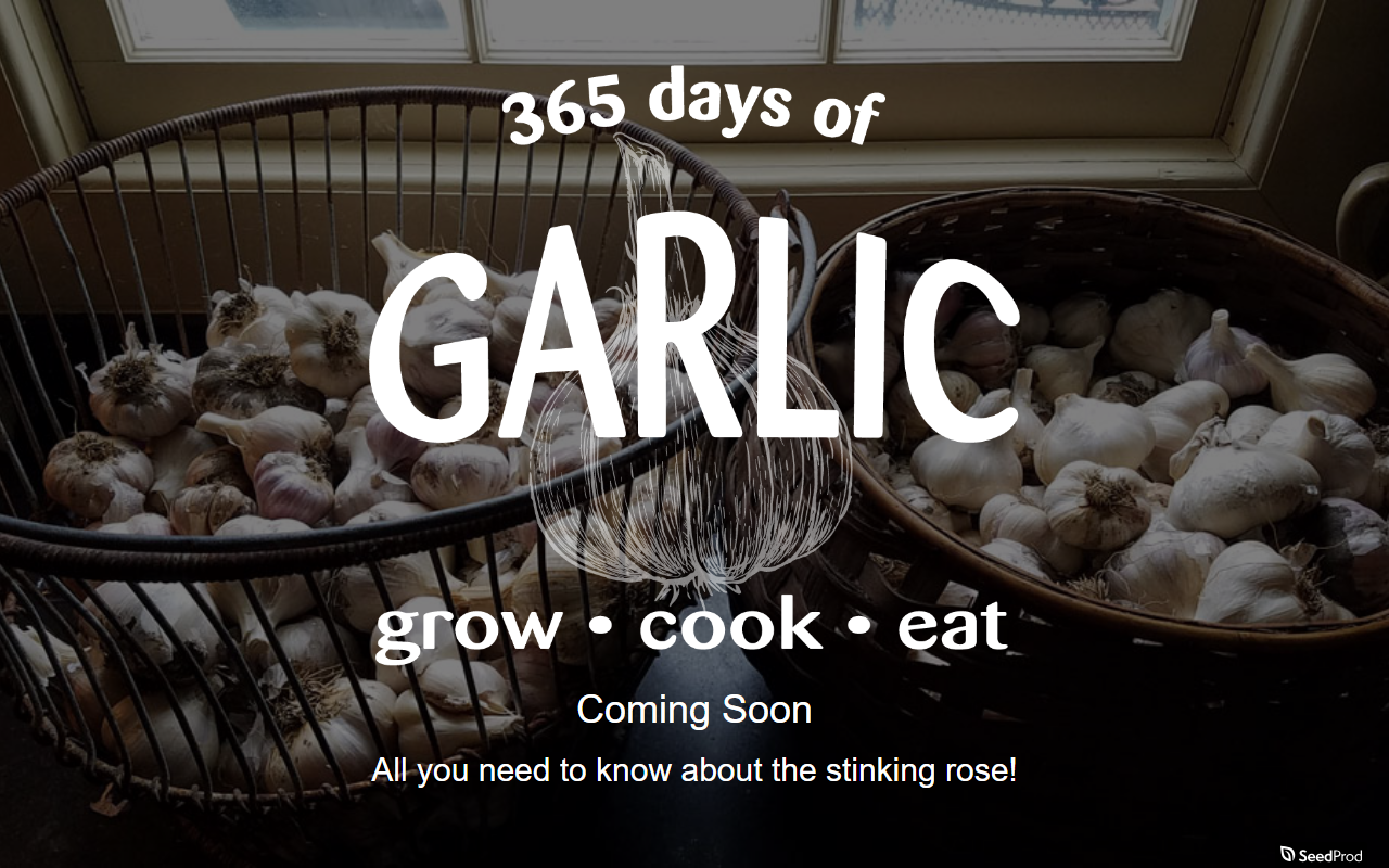 365daysofgarlic.com screenshot