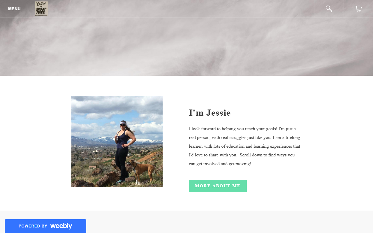 365fitcoach.com screenshot
