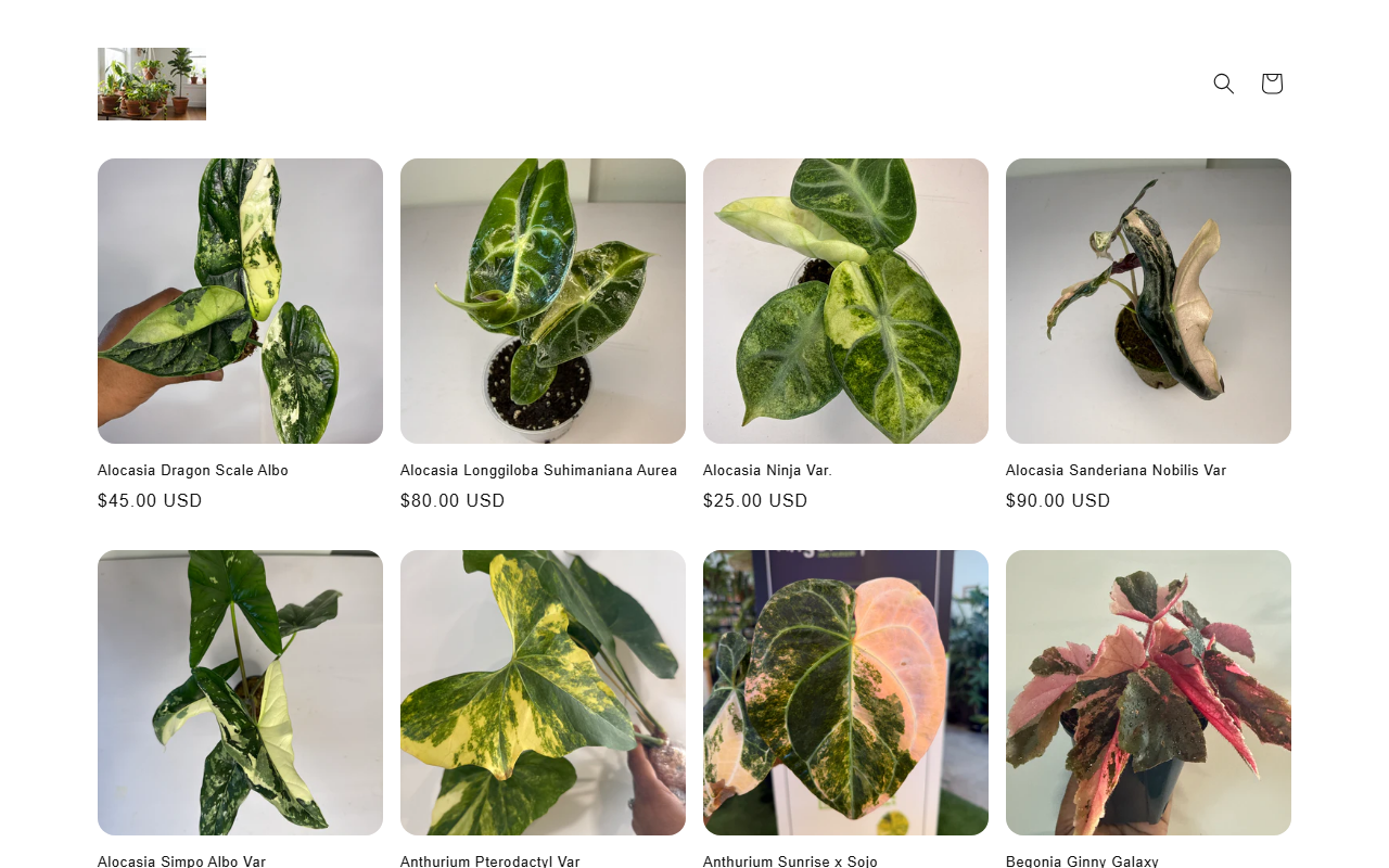 365hydroponics.com screenshot