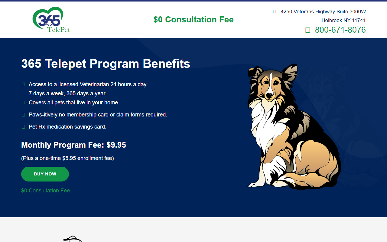 365televet.com screenshot