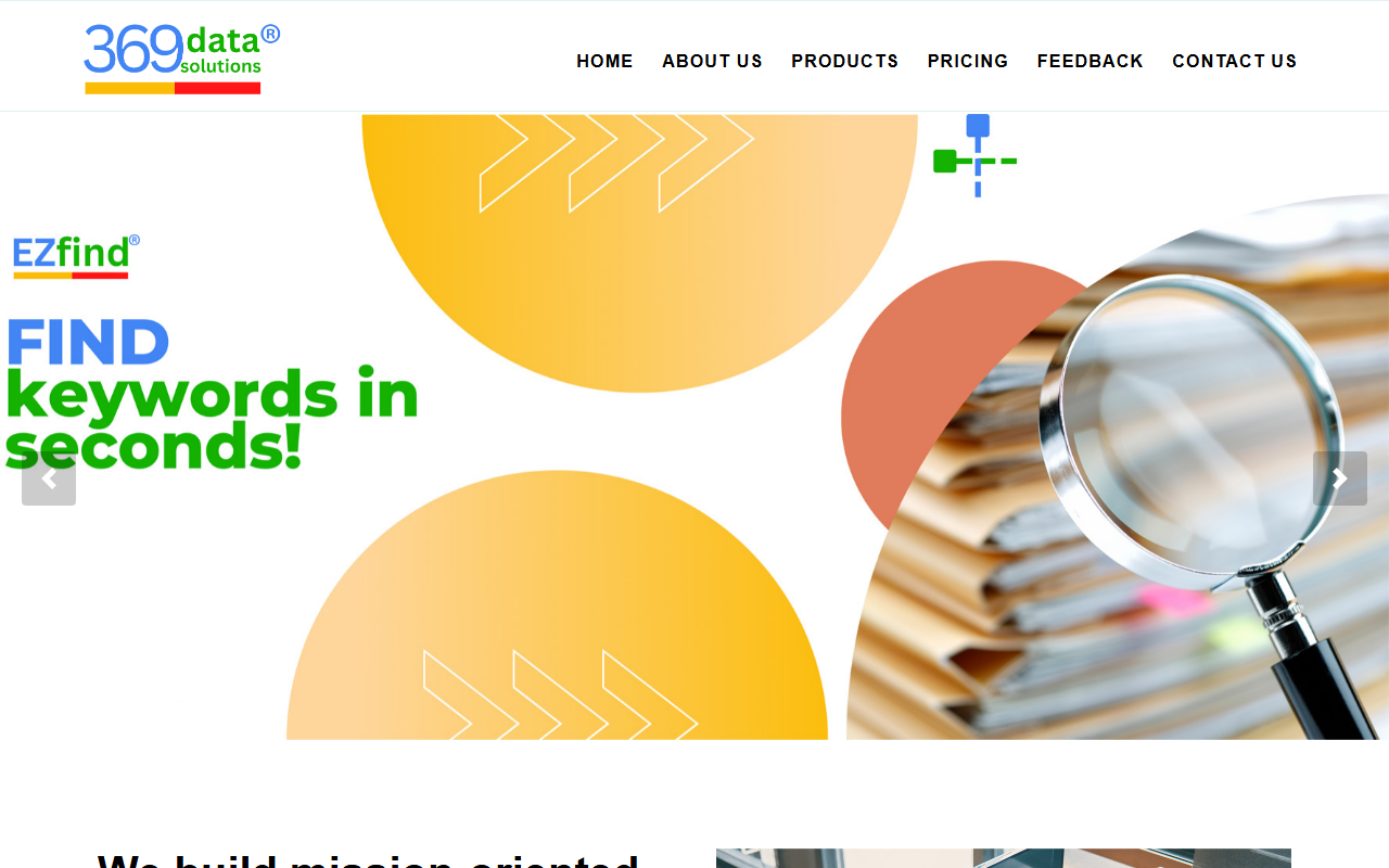369datasol.com screenshot