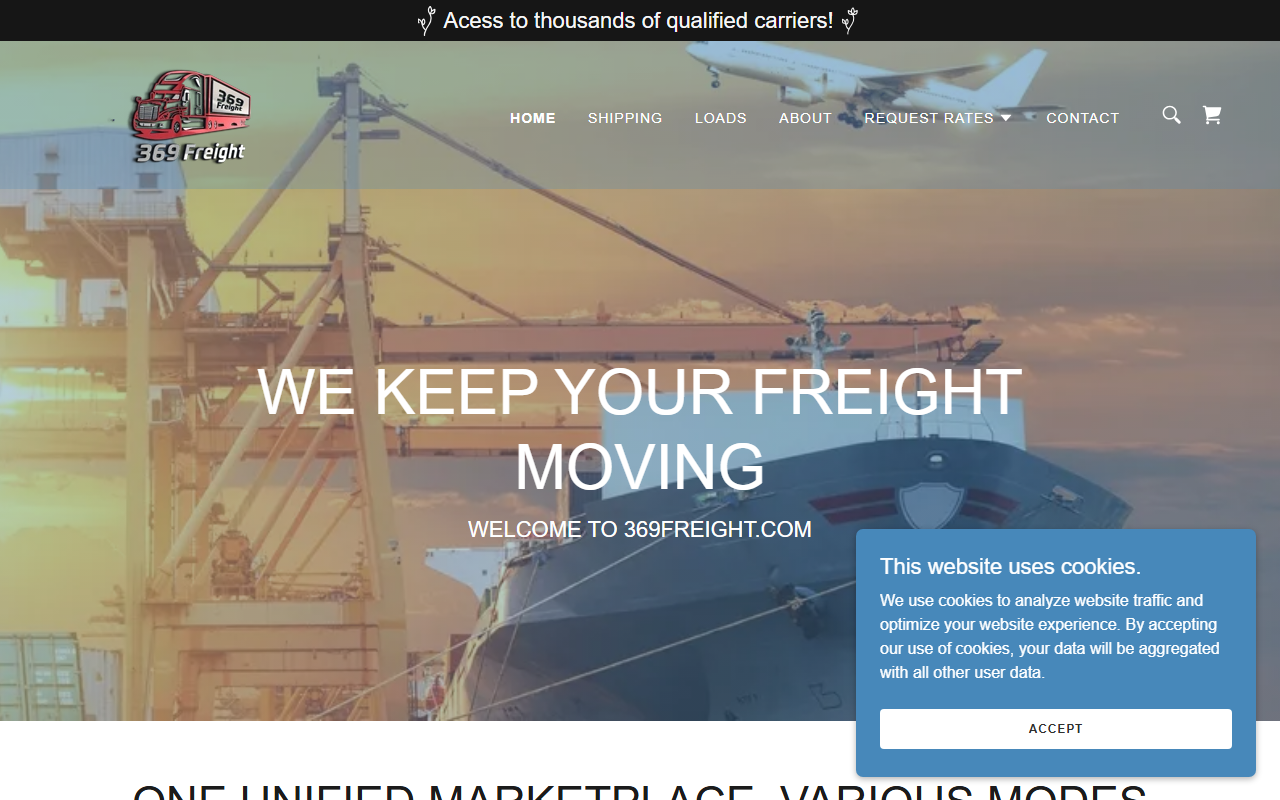 369freight.com screenshot