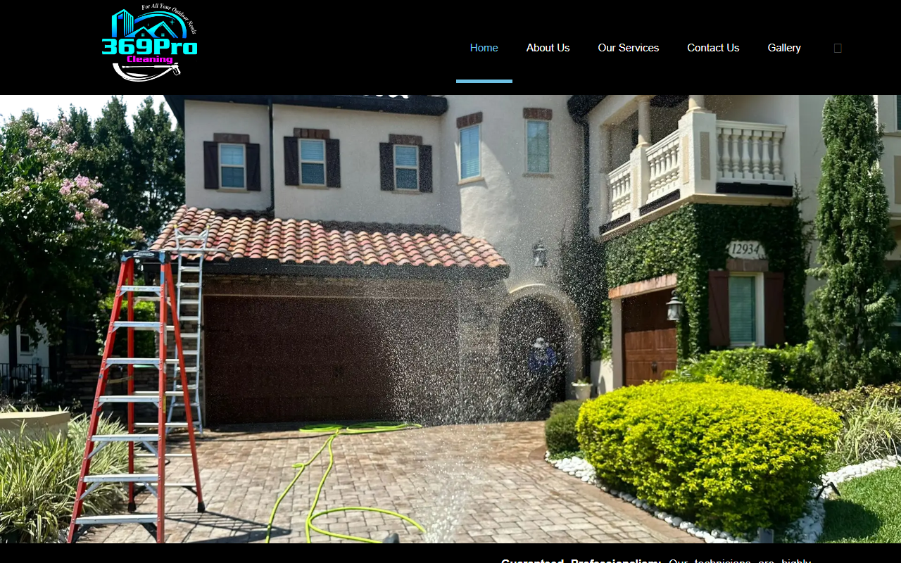 369procleaning.com screenshot