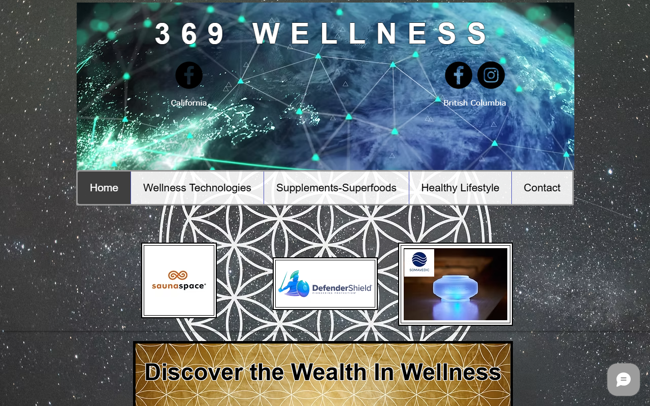 369wellness.com screenshot
