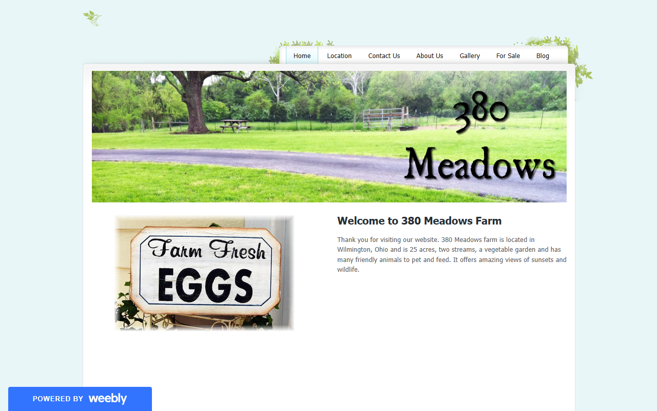 380meadows.com screenshot