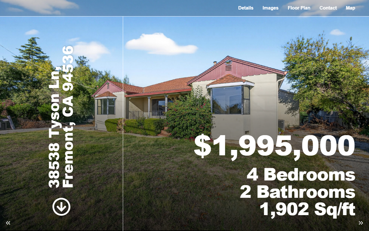 38538tyson.com screenshot
