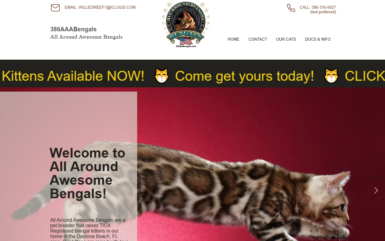 386aaabengals.com screenshot