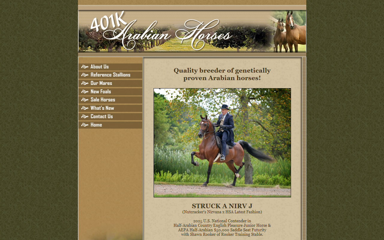 401karabians.com screenshot