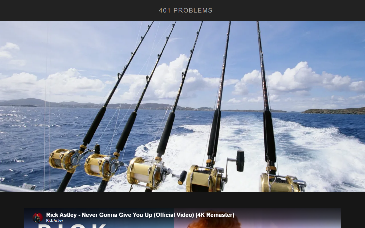 401problems.com screenshot