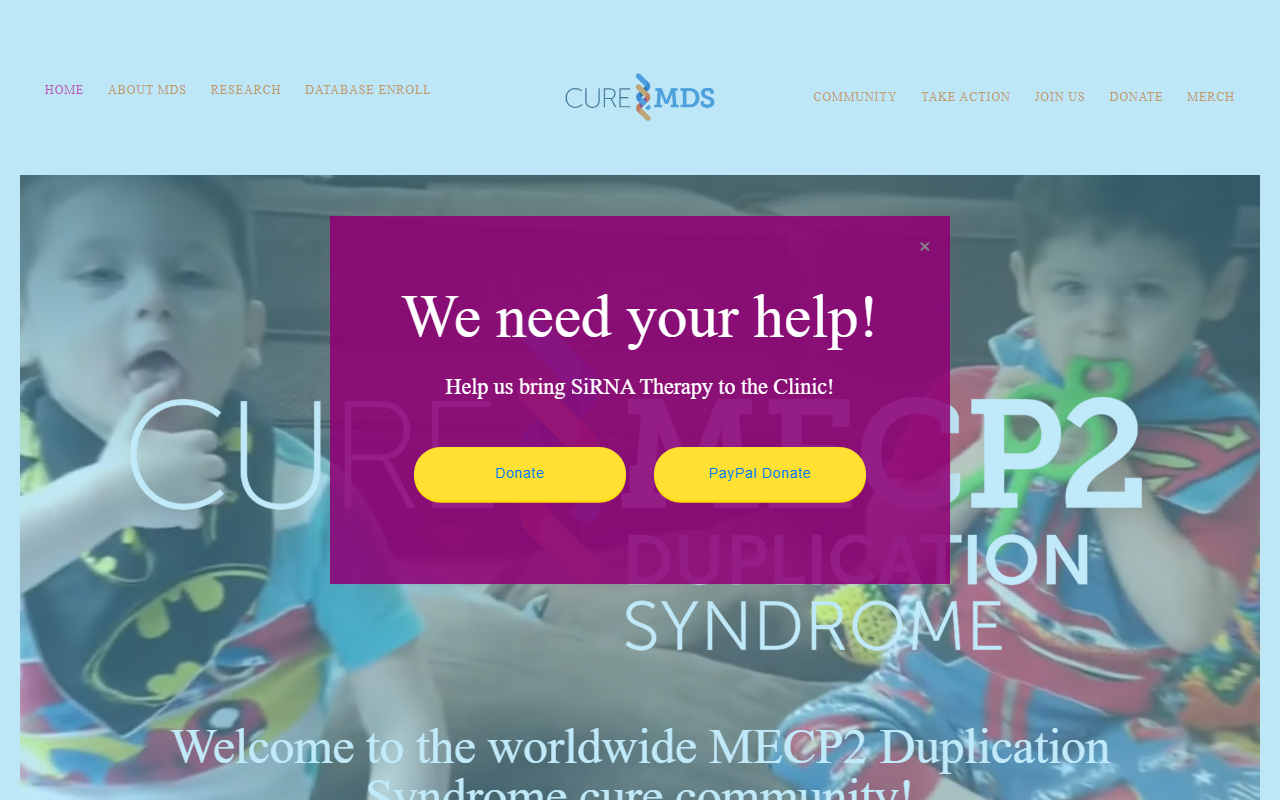401project.com screenshot
