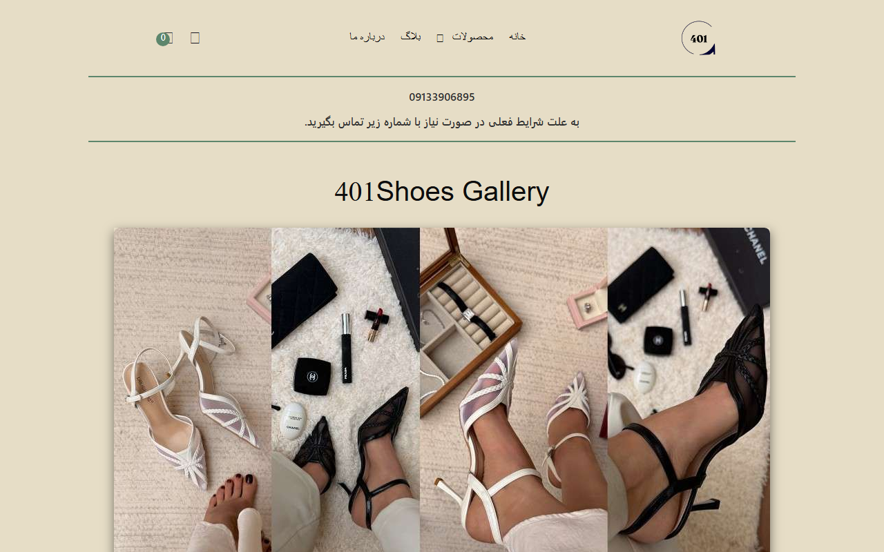 401shoesgallery.com screenshot