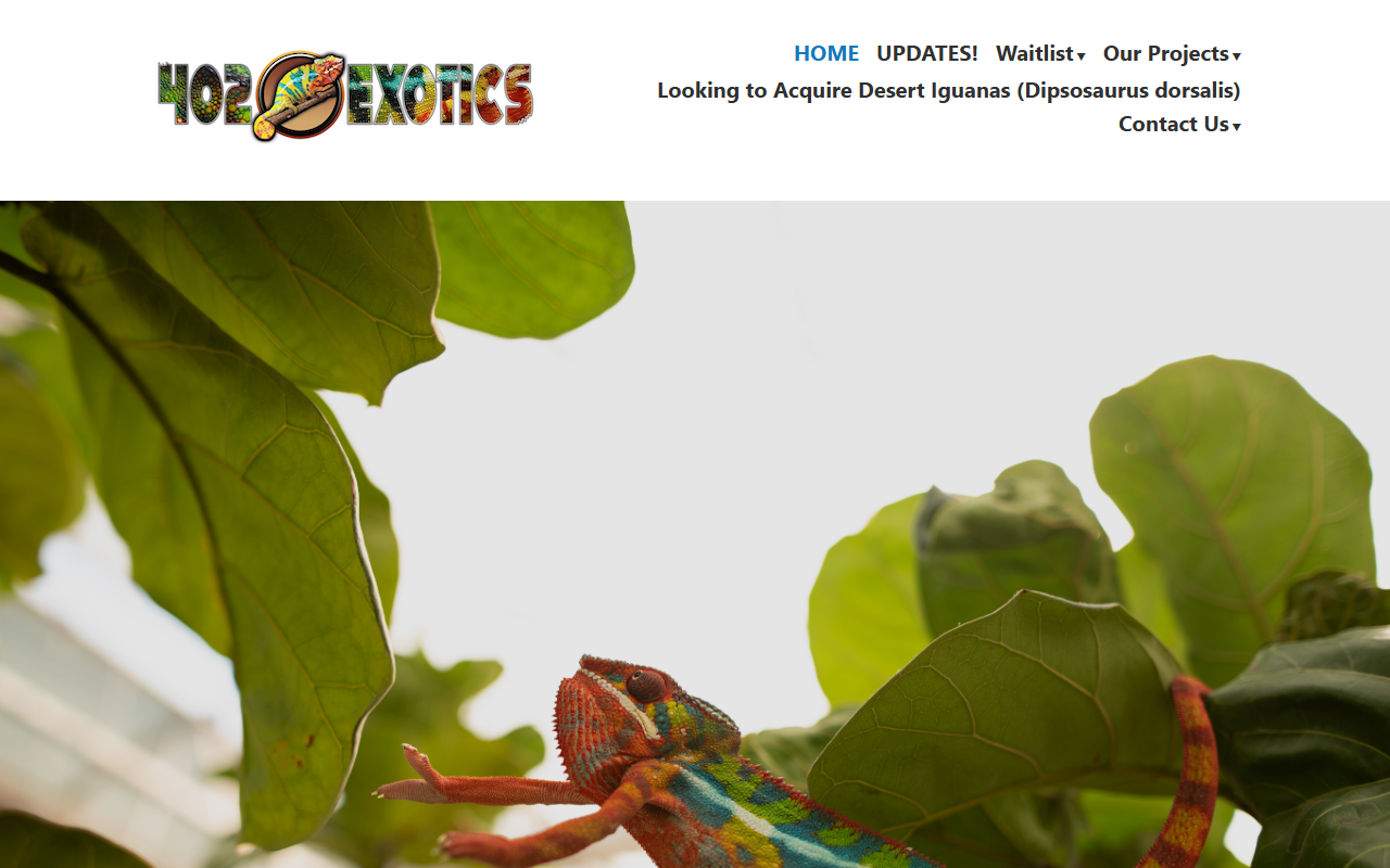 402exotics.com screenshot