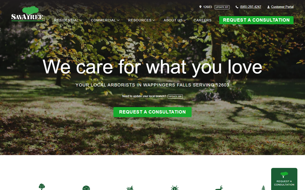 404cuttree.com screenshot