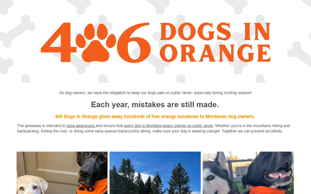 406dogsinorange.com screenshot