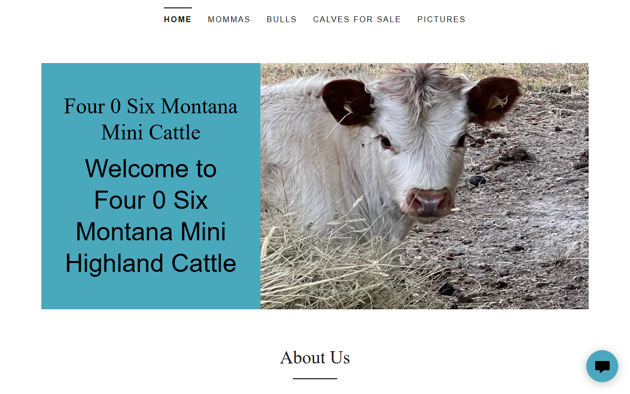 406montanamini.com screenshot