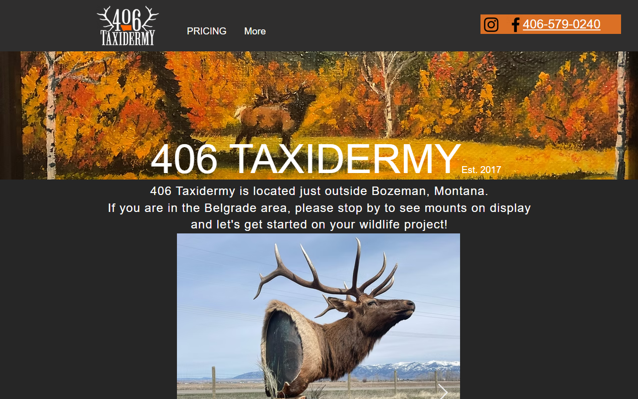 406taxidermy.com screenshot