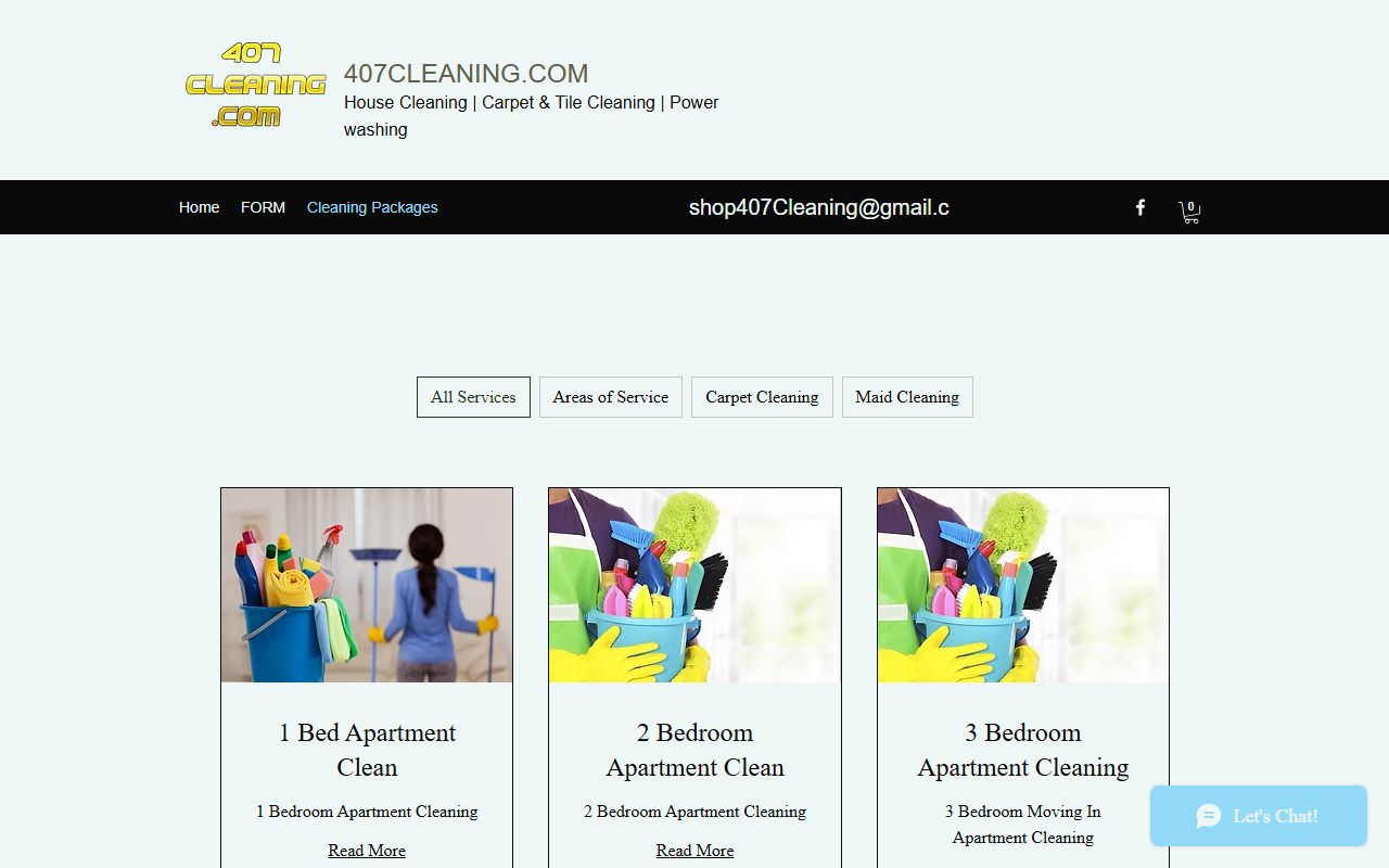 407cleaning.com screenshot