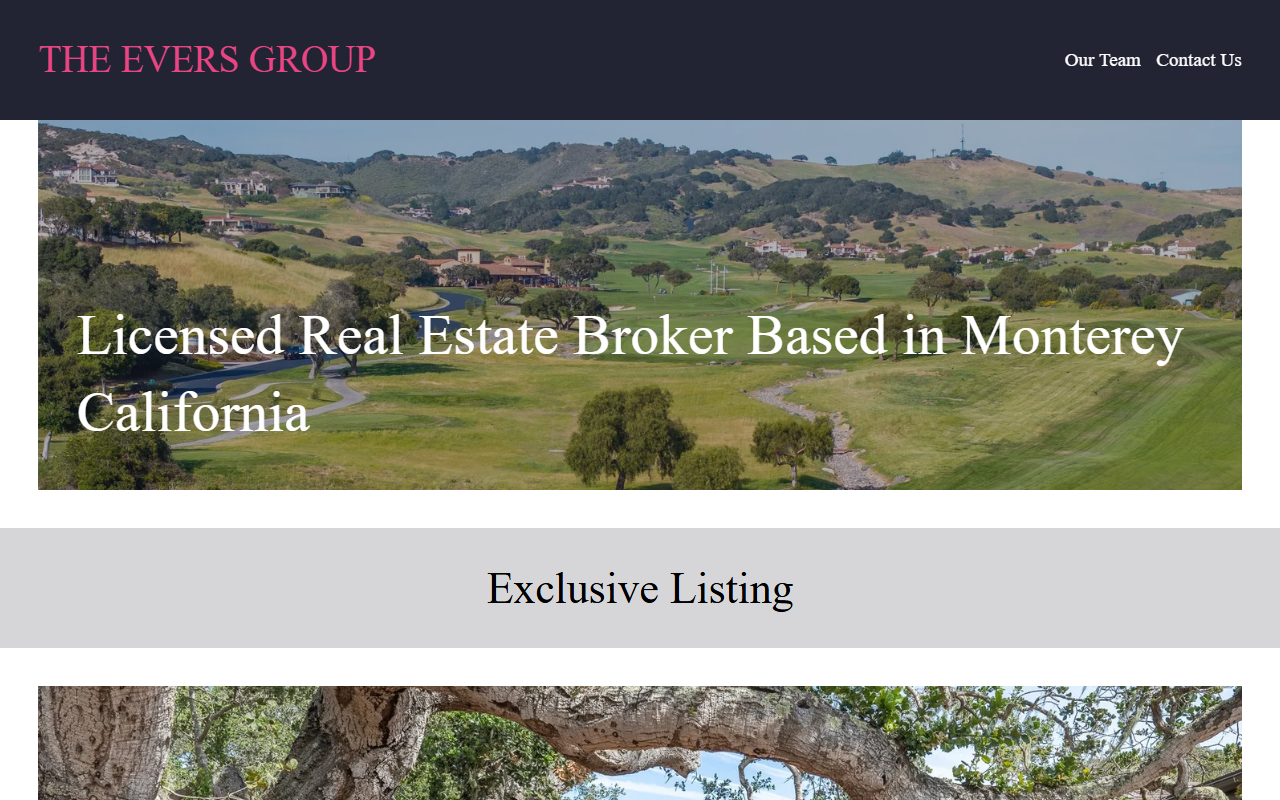 409osodoro.com screenshot