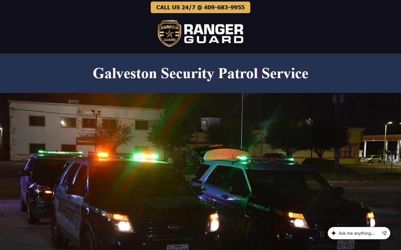 409security.com screenshot