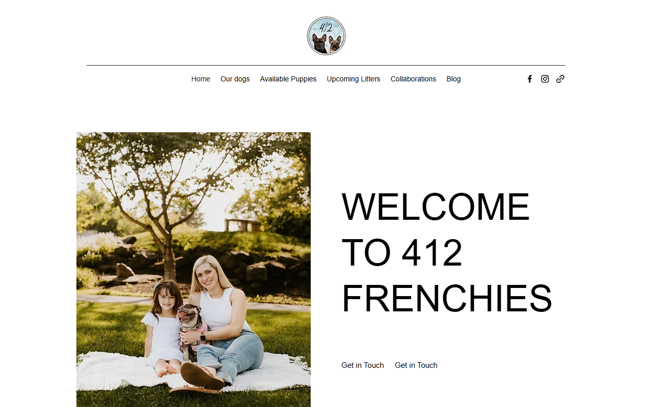 412frenchies.com screenshot