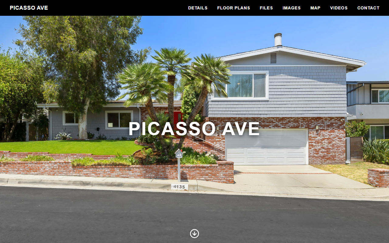 4135picasso.com screenshot
