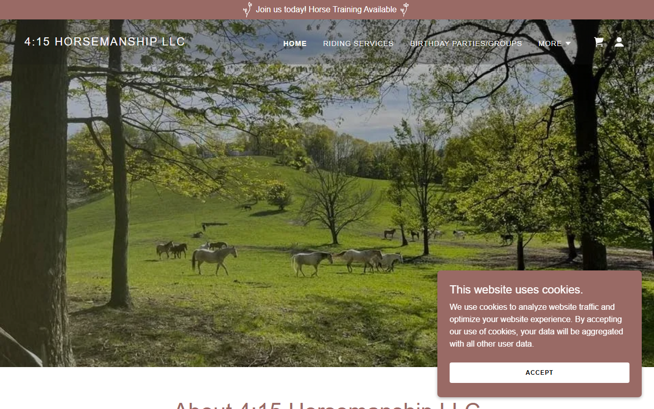 415horsemanship.com screenshot