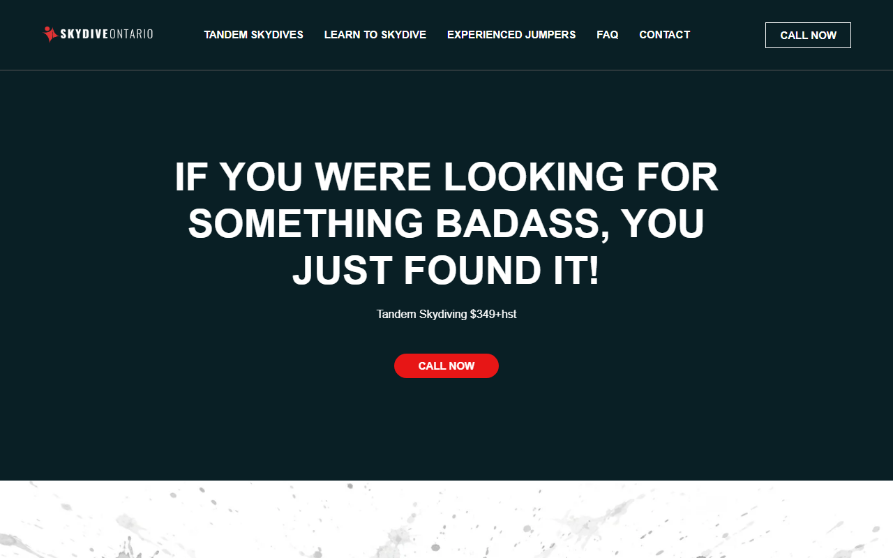 416skydive.com screenshot