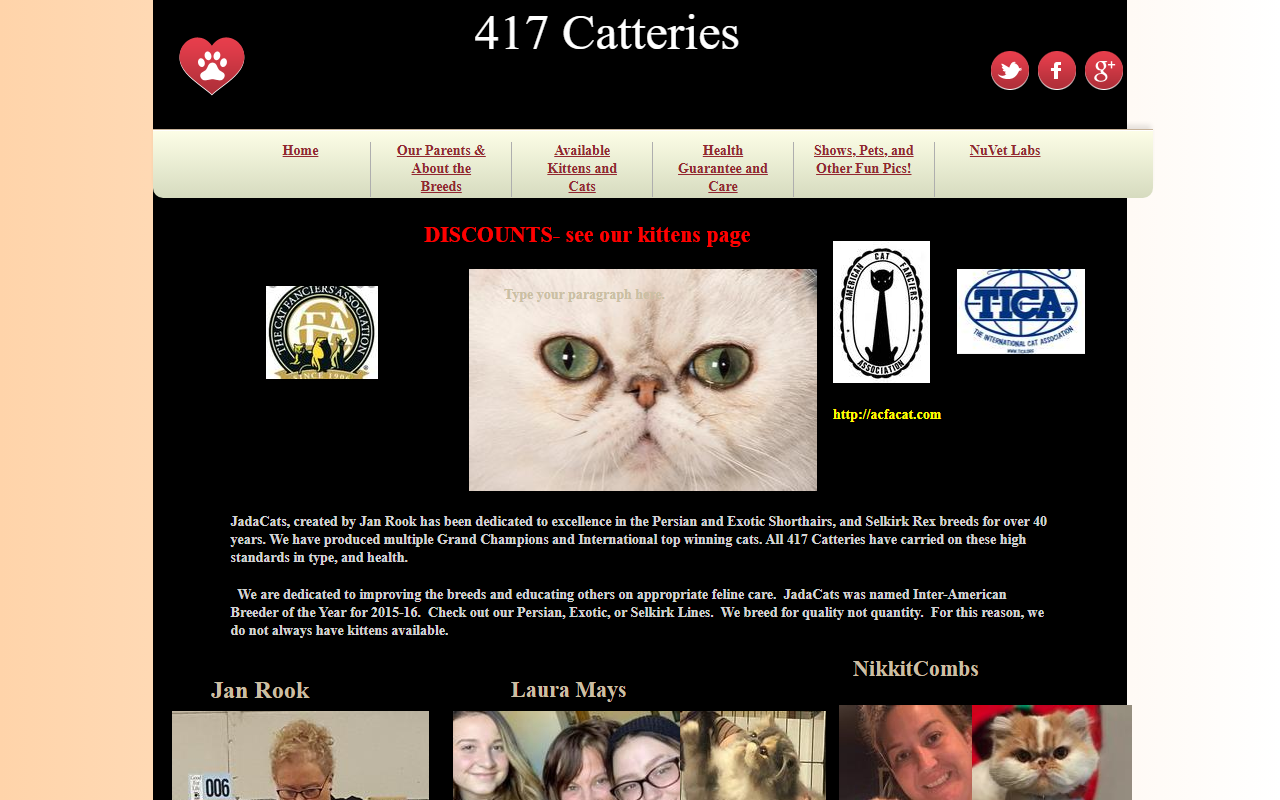 417cattery.com screenshot