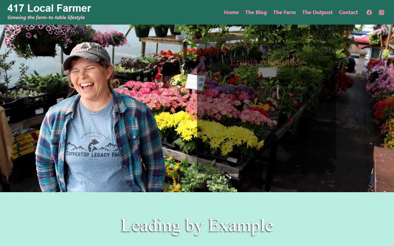 417localfarmer.com screenshot