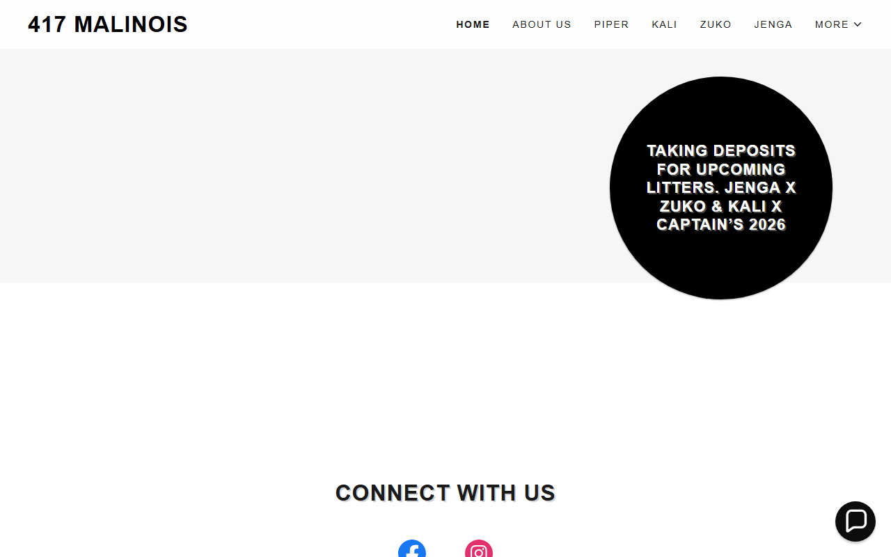 417malinois.com screenshot