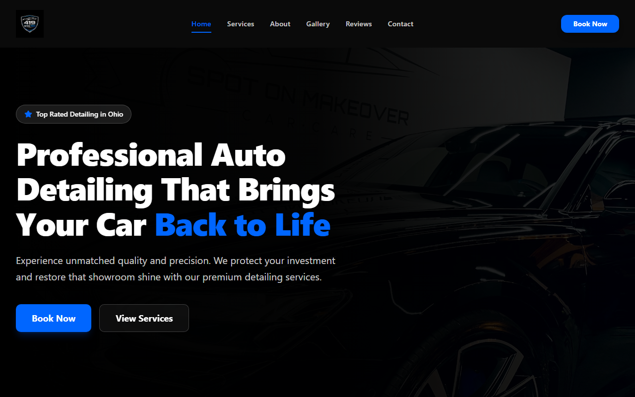 419detailpros.com screenshot