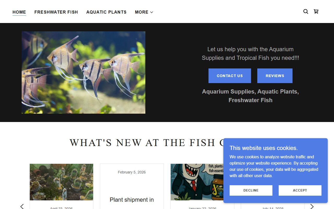 419fishguys.com screenshot