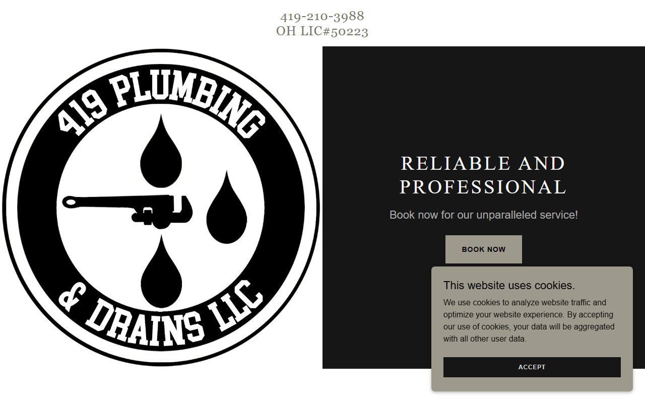 419plumbing.com screenshot