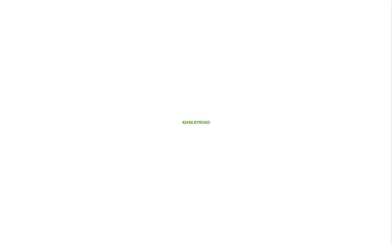 424silkyroad.com screenshot