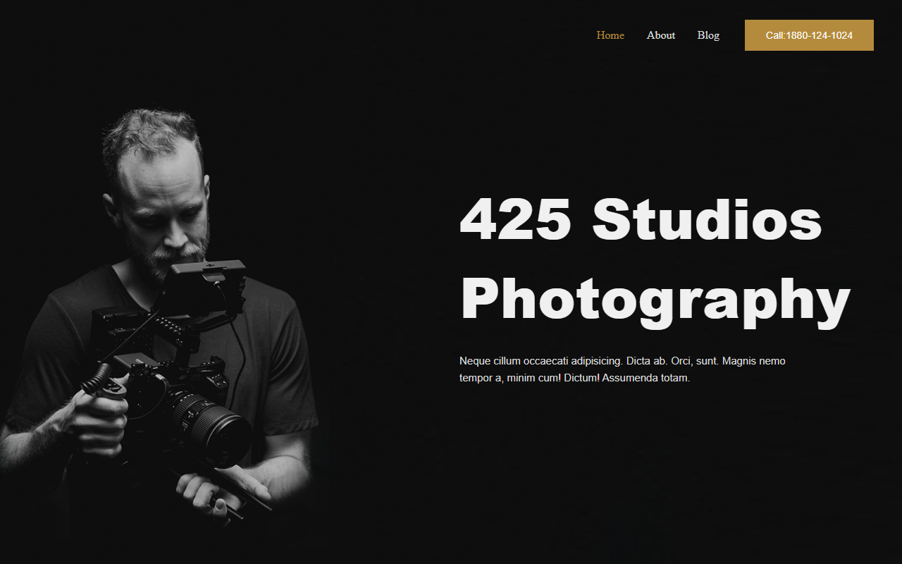 425studios.com screenshot