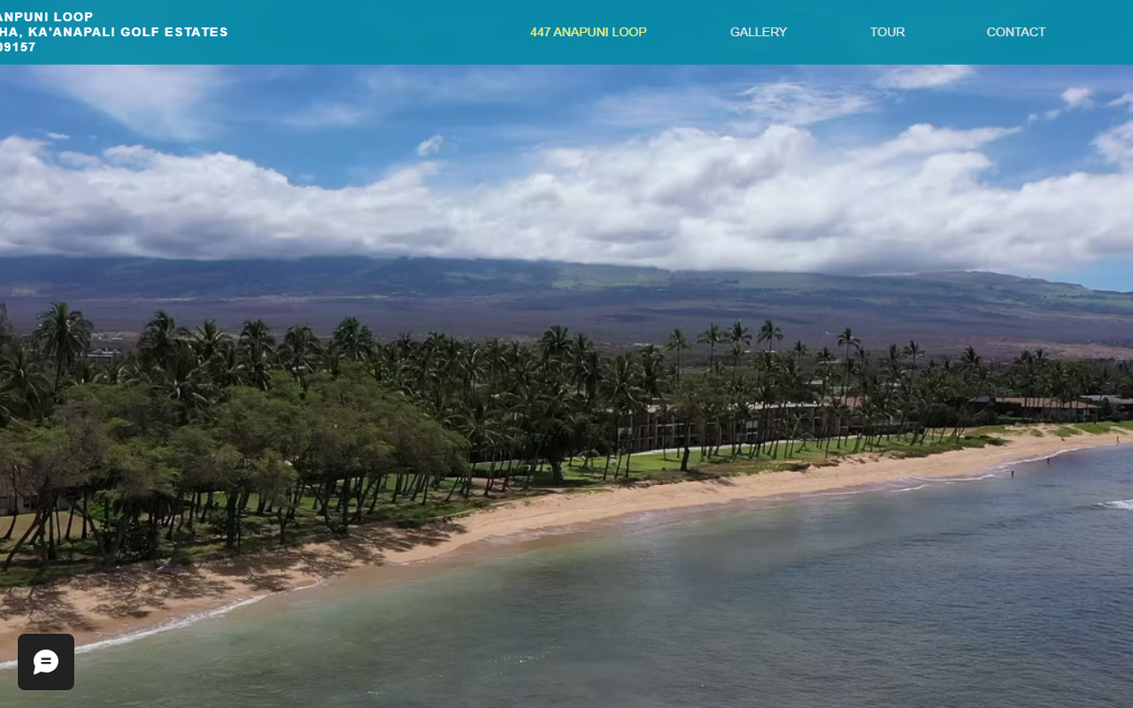 447anapuni.com screenshot