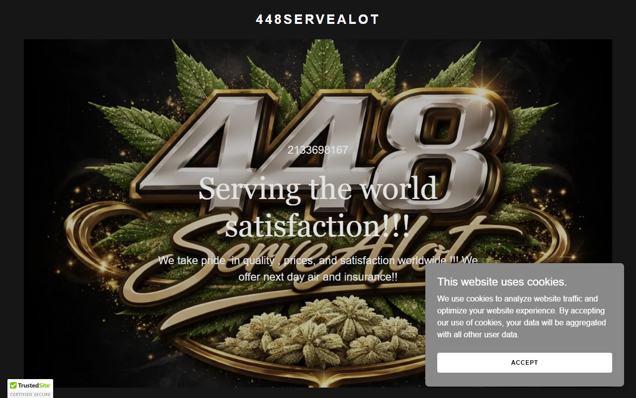 448servealot.com screenshot
