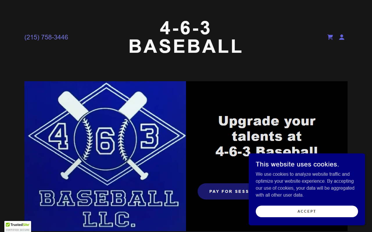 463baseball.com screenshot