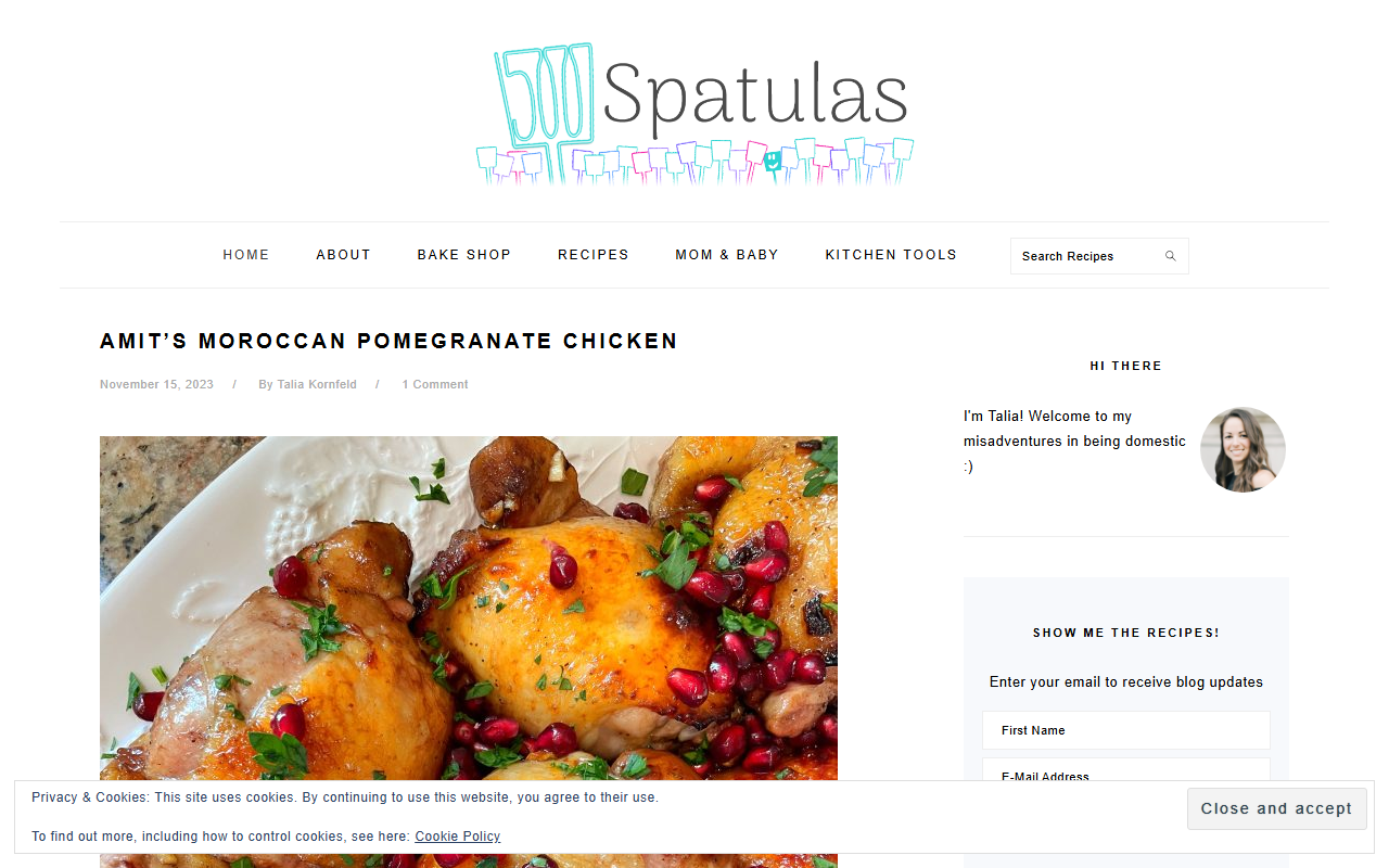 500spatulas.com screenshot