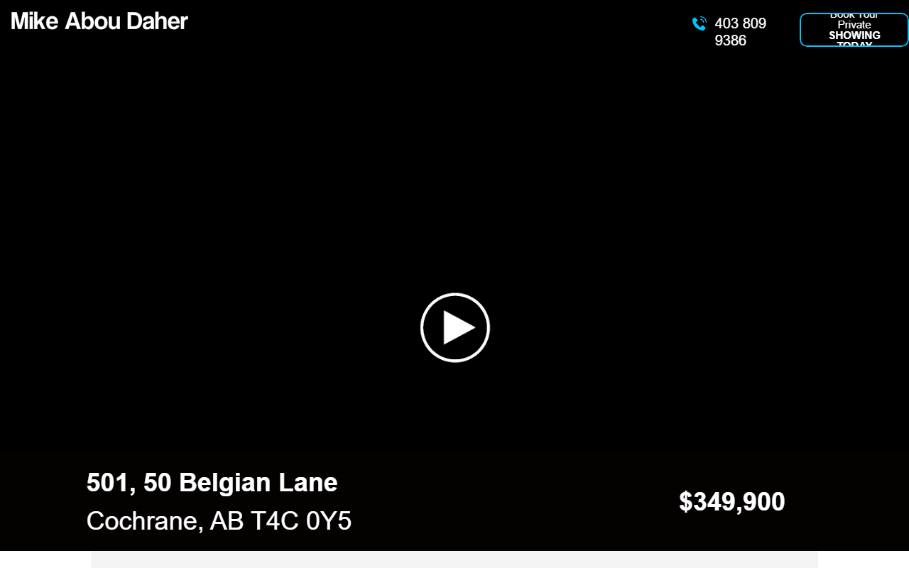 501belgianlane.com screenshot
