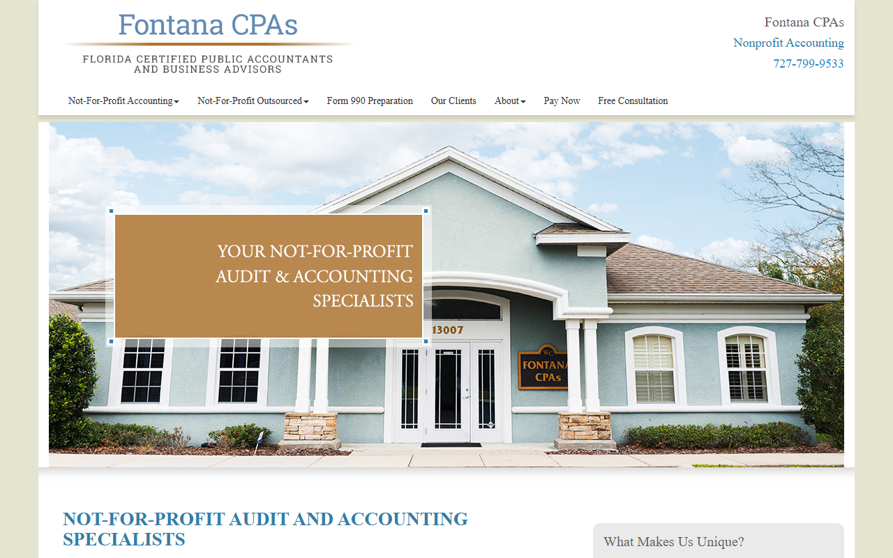 501c3audit.com screenshot
